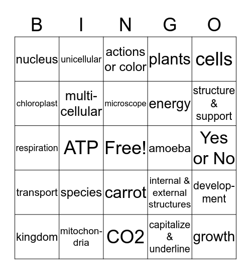 Classification Review Bingo Card