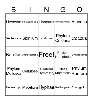 Classification Bingo Card