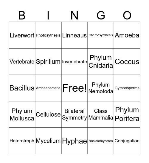 Classification Bingo Card