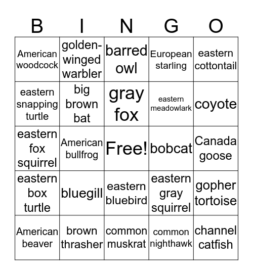 Wildlife Judging Bingo Card
