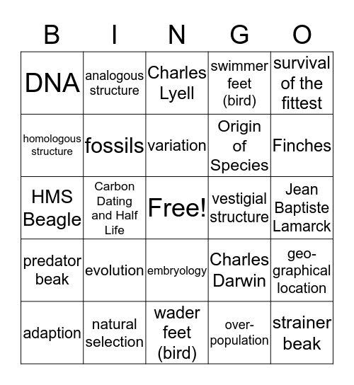 Evolution Bingo Card