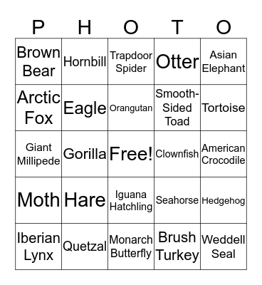 Wildlife Photographer of the Year 2017 Bingo Card