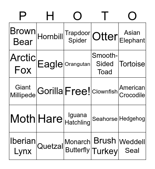 Wildlife Photographer of the Year 2017 Bingo Card