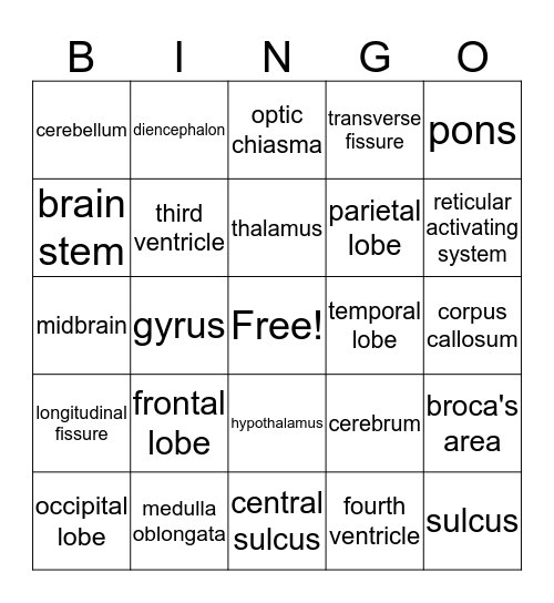 Brain Functions Bingo Card