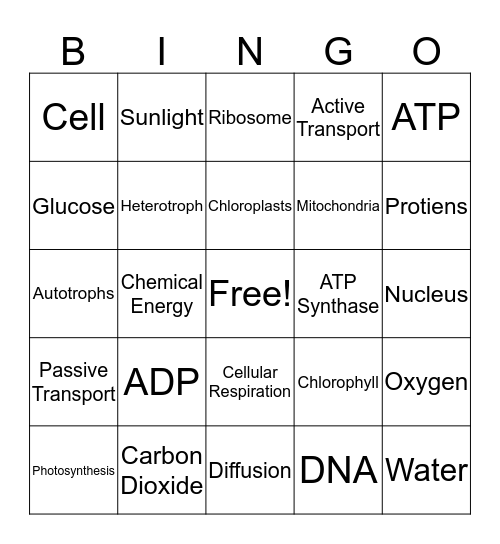 Energy Bingo Card