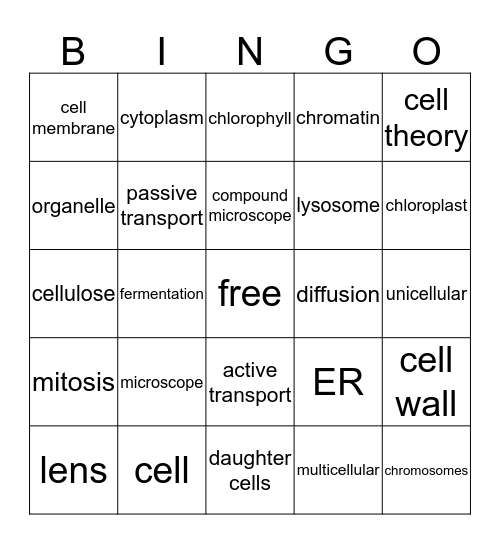 cell structure and function Bingo Card