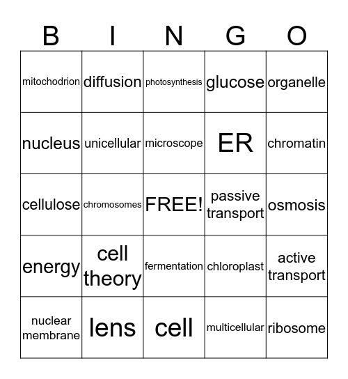 Cell structure and function Bingo Card