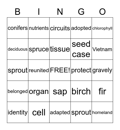 Vocabulary Bingo  Bingo Card