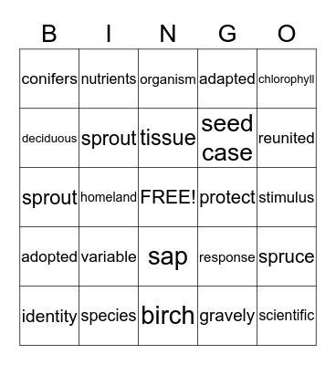 Vocabulary Bingo  Bingo Card