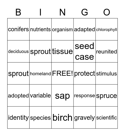 Vocabulary Bingo  Bingo Card