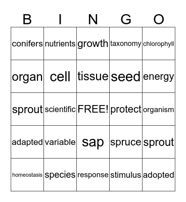 Vocabulary Bingo  Bingo Card