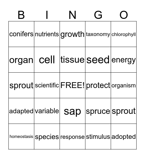 Vocabulary Bingo  Bingo Card