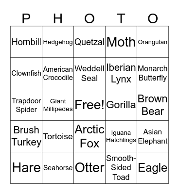 Wildlife Photographer of the Year 2017 Bingo Card