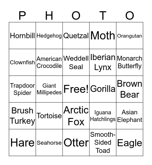 Wildlife Photographer of the Year 2017 Bingo Card