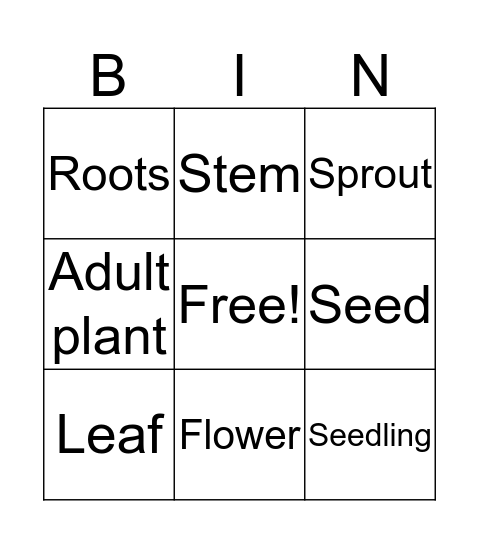 Plant Life Cycle Bingo  Bingo Card