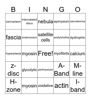 Muscle Tissue Bingo Card