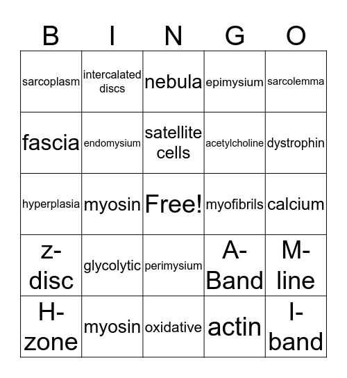 Muscle Tissue Bingo Card