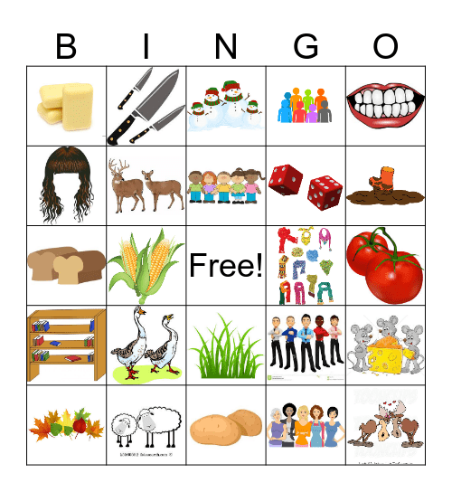 Irregular Plurals Bingo Card