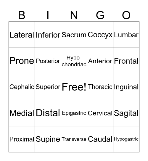 Anatomic Position Bingo Card