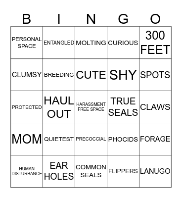 HARBOR SEAL Bingo Card