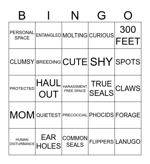 HARBOR SEAL Bingo Card