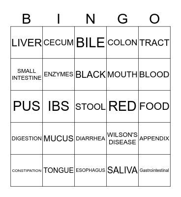 DIGESTIVE SYSTEM Bingo Card