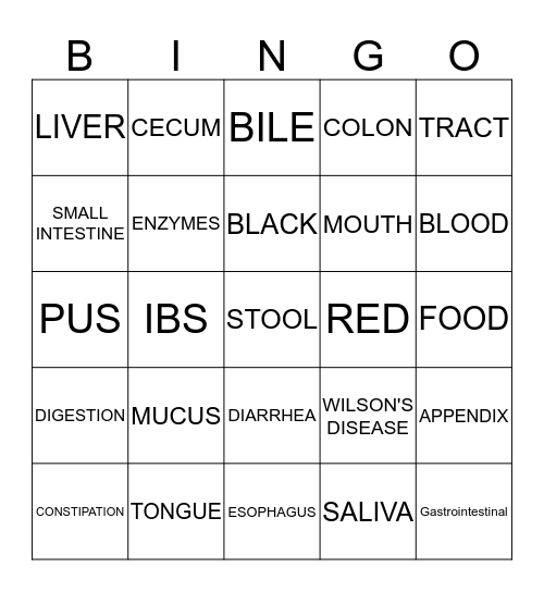 DIGESTIVE SYSTEM Bingo Card