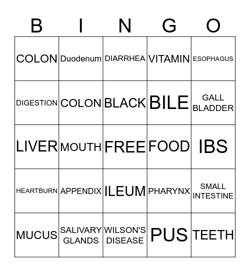 DIGESTIVE SYSTEM Bingo Card