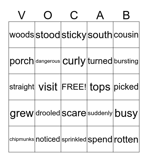 Vocabulary Bingo Card