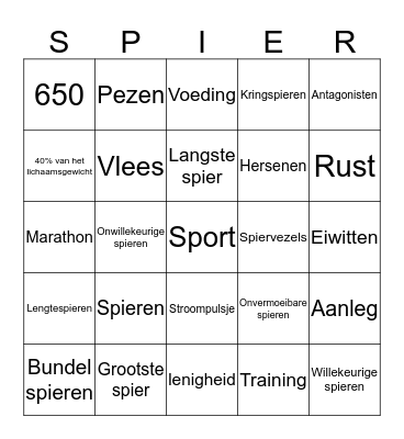 Spieren Bingo Card