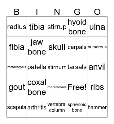 Skeletal System Bingo Card