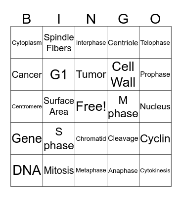 Cell Cycle Mitosis Bingo Card
