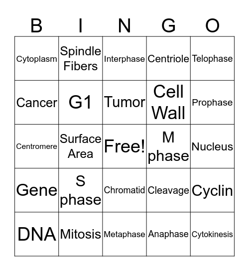 Cell Cycle Mitosis Bingo Card