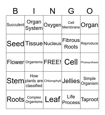Chapter 1: Life Processes Bingo Card
