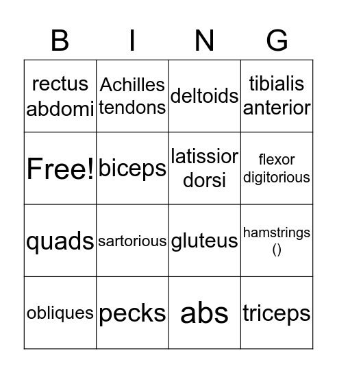 muscles Bingo Card