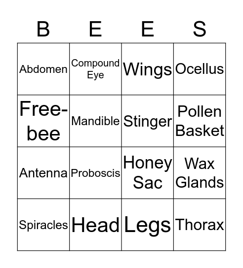 Honey Bee Bingo Card