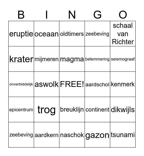 woordenschatbingo gr 8 Bingo Card