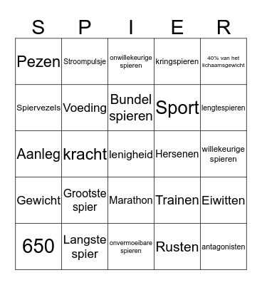 Spieren Bingo Card