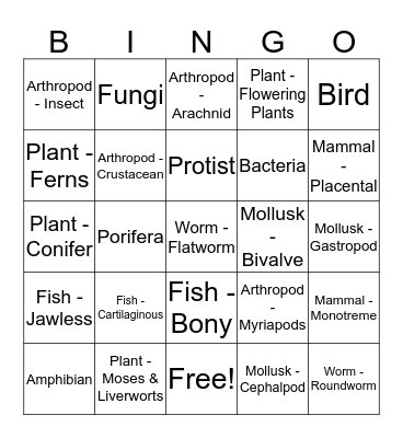 Classification Bingo Card