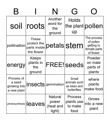 Plants Bingo Card