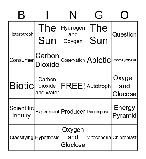 Science Unit 1 Bingo Card