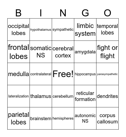 CNS & PNS review Bingo Card
