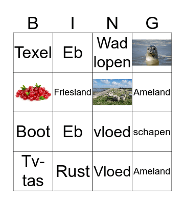 Waddeneilanden Bingo Card