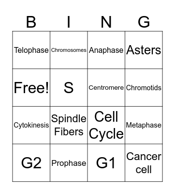 Cell Cycle Bingo Card