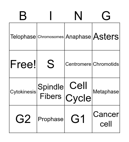 Cell Cycle Bingo Card