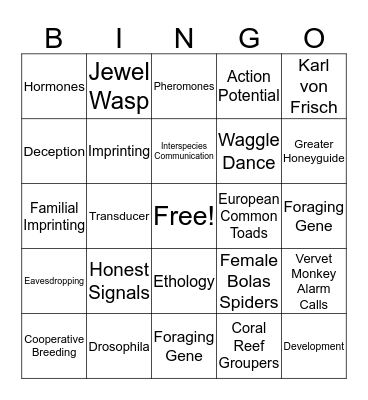 Animal Communication Bingo Card