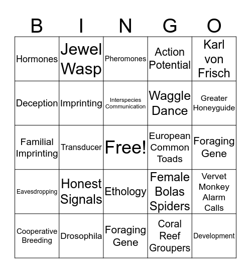 Animal Communication Bingo Card