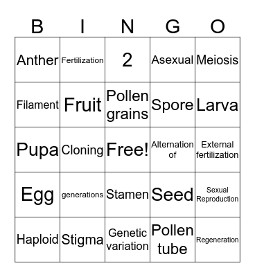 REPRODUCTION Bingo Card