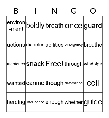 Dog Heroes Bingo Card