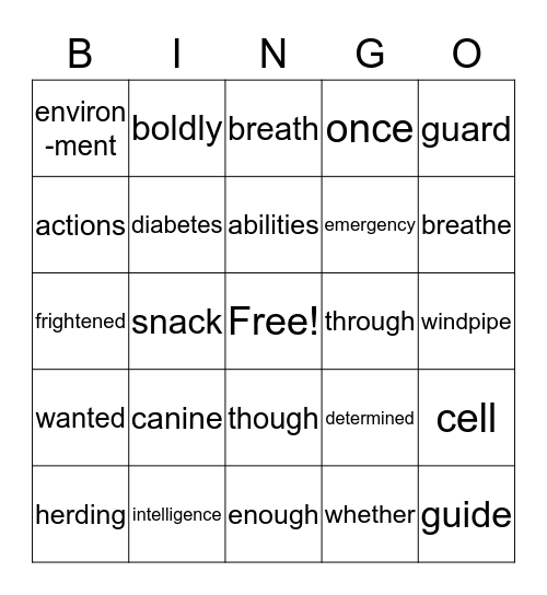 Dog Heroes Bingo Card